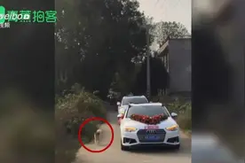 泪目！女主人出嫁，从小一起生活的狗狗狂追婚车十几公里送亲图片