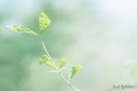 女人在你身上能够做到两个字，就是对你着迷的信号图片