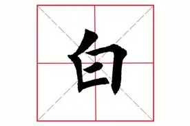 每日一字39：白图片