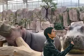 “长得真像我婆婆！”88万人动物园云春游，围观韩寒的“河马孩子”图片