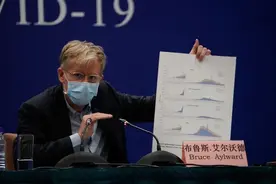 世卫组织外方专家组长：“感谢武汉人民，世界亏欠你们”图片