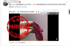 变色龙能够根据碰到的任何东西来改变自己身体的颜色？是真的吗？图片