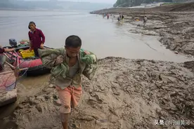 黄河泄洪排沙村民疯狂捞鱼，大鲤鱼1条卖到上千元，有人一夜暴富图片