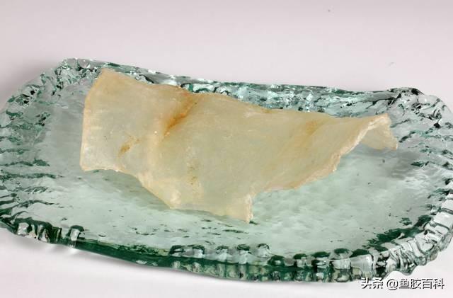 蝴蝶型花胶价格 2026年蝴蝶型花胶价格及图片