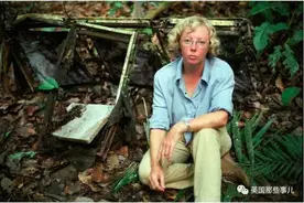 飞机空中解体，17岁姑娘从空中落入亚马逊雨林！之后发生的一切堪称传奇图片