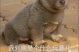 神武端游新手攻略介绍-不喜勿喷图片
