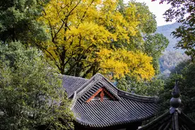 来自印度的佛教，在印度已经没落，为何能在中国发展壮大？图片