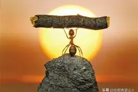 我们如此渺小，我们生如蝼蚁图片