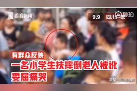 小学生扶老人反被讹？警方通报：两男孩嬉戏撞倒老人致骨折图片