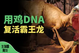 科学狂人用鸡的DNA复活恐龙，是纯属胡闹还是真实可靠？图片