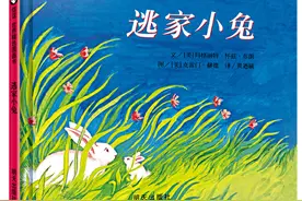 睡前故事：逃家小兔图片