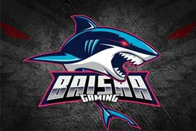 白鲨为什么拥有那么多选手 国内国际双线作战要考虑到轮换图片