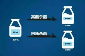 京东生鲜全程低温冷链确保品质 为更多人提供更有营养的巴氏低温奶图片