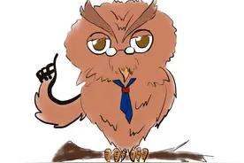 11岁学生参加夏令营摔伤致十级伤残，谁来承担责任？| 案例图片