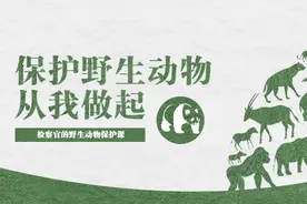 【案件说法】检察官的野生动物保护课图片