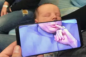 不相关的两张图拼在一起，看起来毫无违和感图片