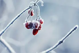 散文：一切的美好，终究要靠选择和坚持来成全图片