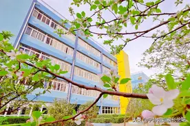 青羊实验附小爆仓，被分到泡桐树小学西区分校？泡西到底怎么样？图片