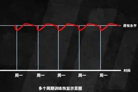 为什么一般人不适合五分化训练图片