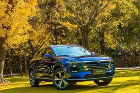 众泰居然还要推新车，TS5和破产哪一个会先来？图片