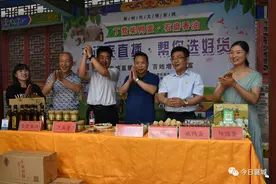 丁营乡：最强直播代言，帮你选好货图片
