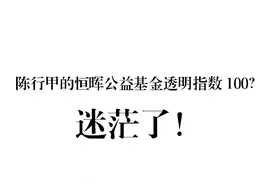 陈行甲的恒晖公益基金透明指数100？迷茫了图片