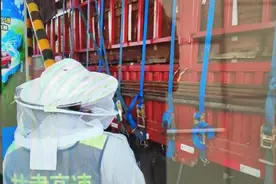 临清所清水收费站抵抗蜜蜂“威胁”图片