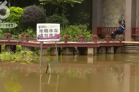 业主要求我们 填平水景池，撒农药 小区内“蛙声一片”有人嫌吵有人叫好图片