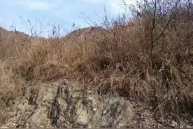 农村俗语：“清明上坟有禁忌，三不做到有财气”说的是什么意思？图片