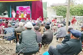 河南农村庙会唱大戏，2000元一场的坠子戏唱真给力，来听听咋样视频封面