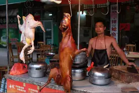 中国人每年吃掉1500万条狗，大部分都是偷来的图片