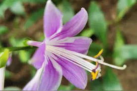 围场方言大全十八（F2）图片