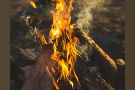 甩挂运输浅谈图片