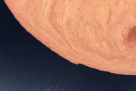 壮观的蔓越莓「红海」采集，看完超治愈图片