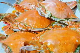 挑选梭子蟹只要掌握这四点，包你挑出膏肥肉满的海蟹，真实用图片