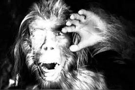 为何神农架深处被列为禁区？除“野人”外，很多神秘现象至今无解图片