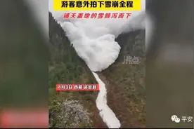 【平安警色】风雪中可能看不清他们的样子，但他们却有一个共同的名字——西藏警察！图片