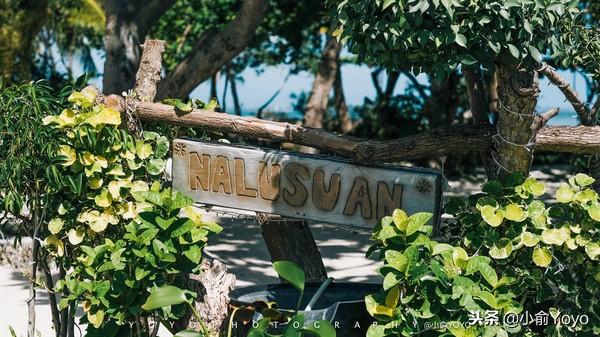 菲律宾｜逃离冷冷的冬天飞去热带的岛屿享受阳光与海滩