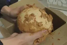 把鸵鸟蛋放一年做成皮蛋，看到里面的样子，还敢吃的是大神图片