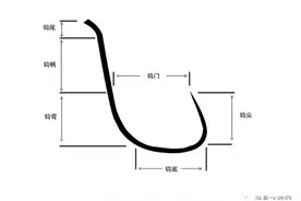 鱼钩规格尺寸一览表图片