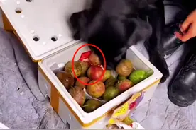 警犬执勤时“偷吃”水果，盯着一颗百香果不放：立大功了呀图片