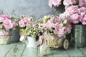 亲兄弟之间为什么会像“仇人”一样？多半因为这些原因图片