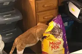 10个非常巧合的画面，这也太巧了吧，让人难以置信图片