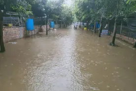 养鸡场圈舍渗水或雨水倒灌而被淹了，应该采取哪些措施呢？图片