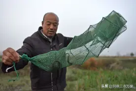 黄鳝怎么捕捉？用上这6种方法后，家里的黄鳝多到吃不完图片