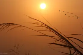 真正的日本人常用的生活短句1-10图片