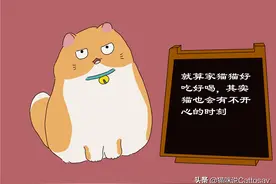 铲屎官的情绪也会影响到猫，猫也会不开心图片