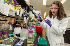 英国留学：药学专业哪家强？英国强势院校盘点图片