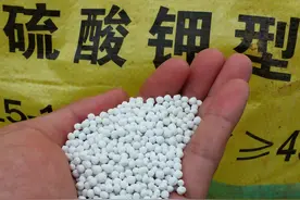 复合肥：如何辨别真假？4个小窍门，简单易学，准确可靠图片
