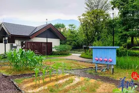 “原地过年”怎么玩？教你个新词——“宅酒店”图片